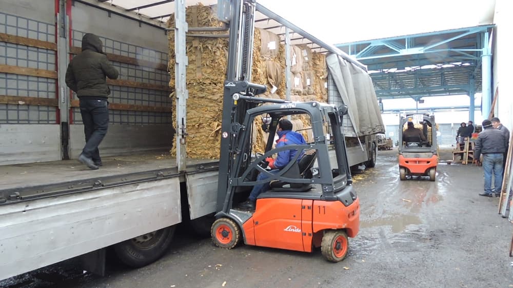 Qax tütün istehsalı və emalı məntəqəsi ötən il fermerlərdən 3514 ton yaşıl tütün qəbul edib