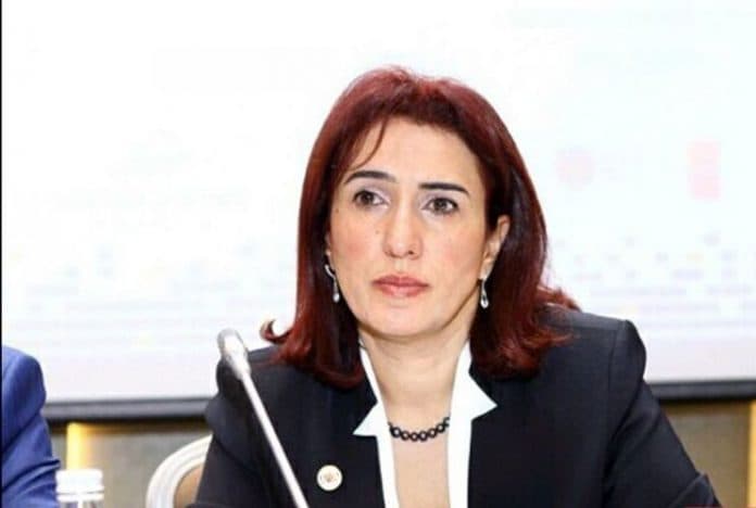 “Azərbaycanda mikrokredit alanların 30%-i qadınlardır”