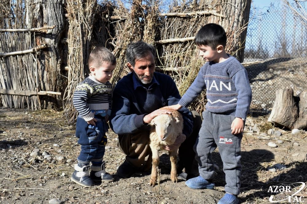 Ötən il Bərdə rayonunda 212 nəfər özünüməşğulluq proqramına cəlb edilib