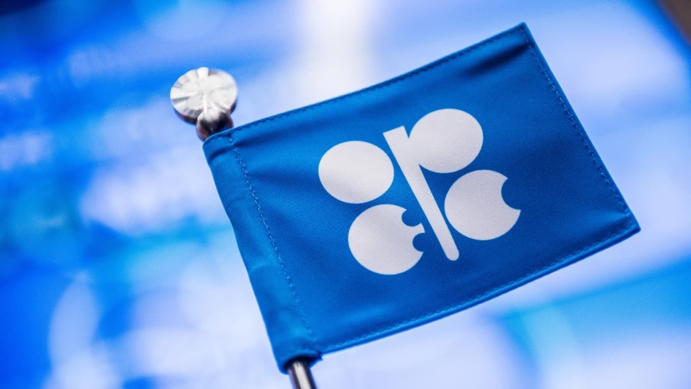 OPEC koronavirusun neft tələbatına təsirini nəzərdən keçirir - VYANADA TOPLANTI