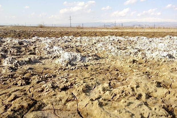 Şoran torpaqların sahəsi 4 min hektardan çox azalıb