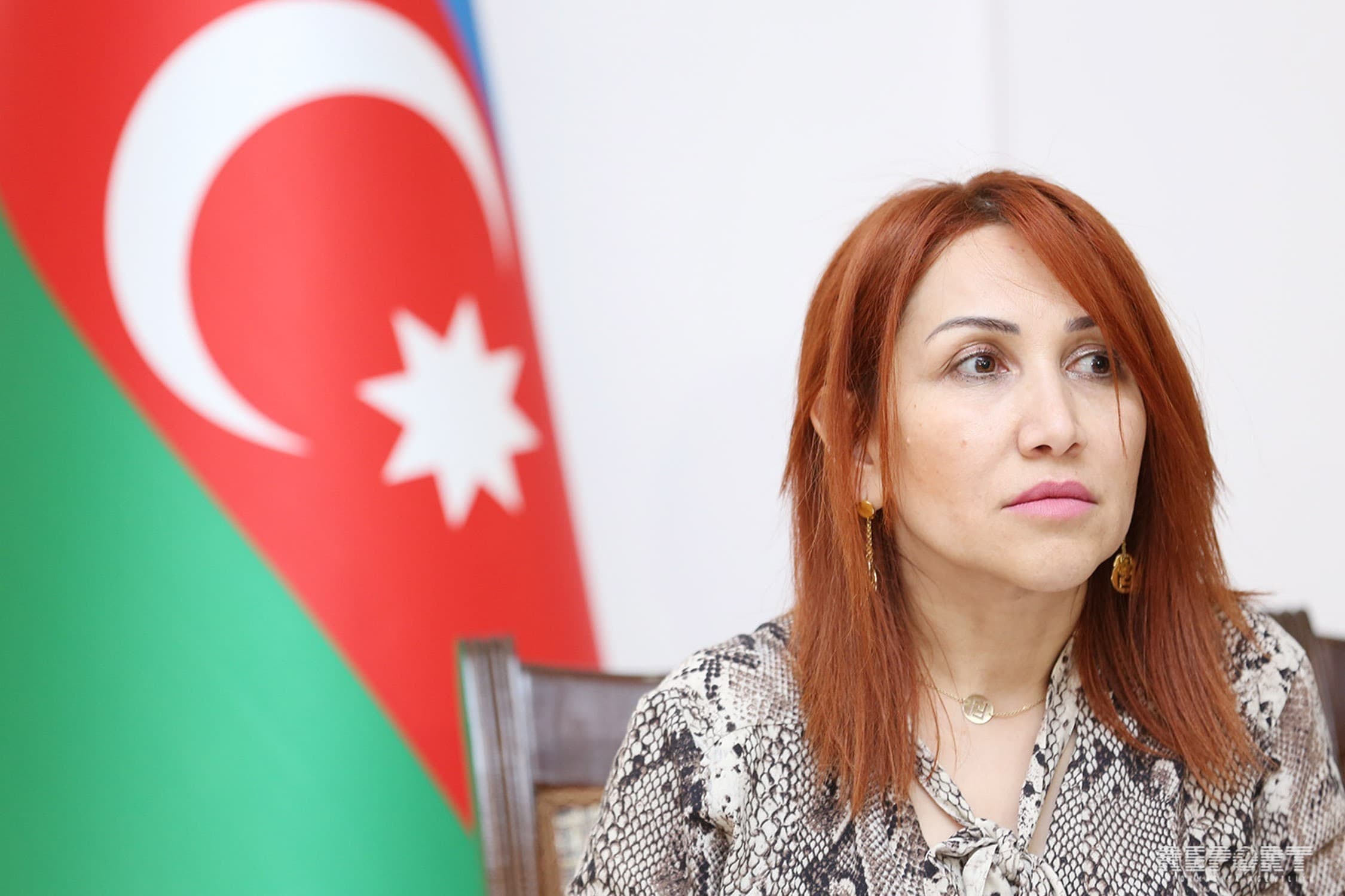 İradə İbrahimova: Azərbaycanda yaşıllıq sahələri artırılır