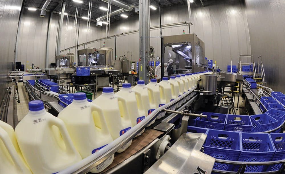 Qubada sutkalıq istehsal gücü 12 ton olan süd emalı zavodu tikilir