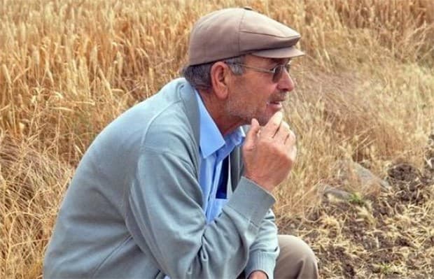 "Subsidiyaların yeni qaydalarla verilməsi fermerlərdə çaşqınlıq yaradıb"
