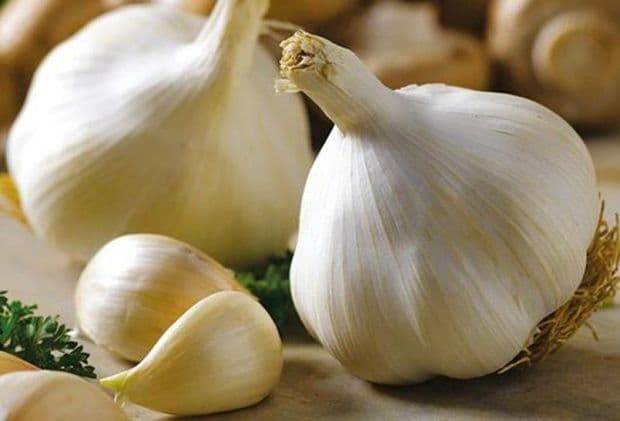 Koronavirusa görə sarımsaq böhranı