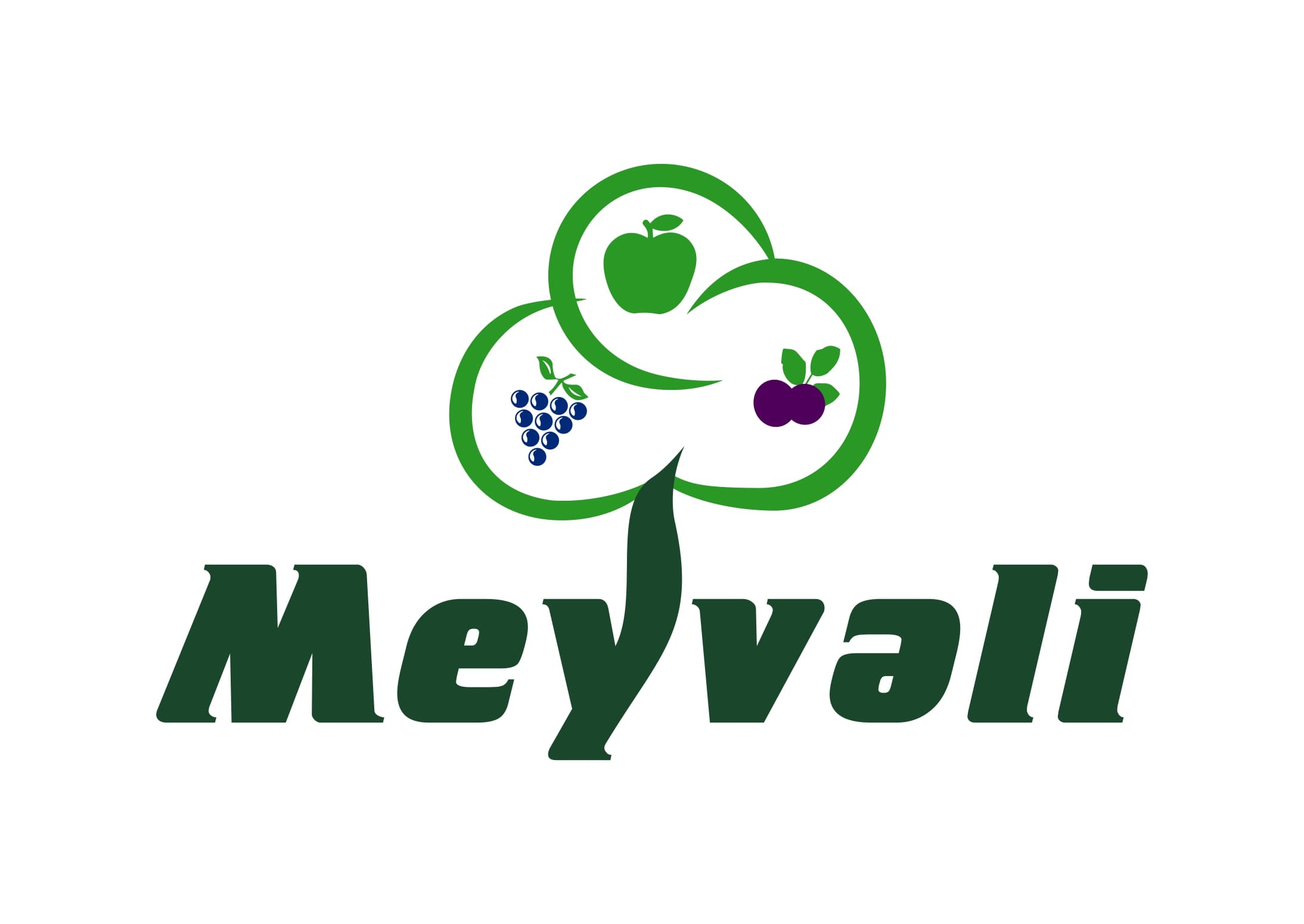 “MEYVƏLİ” MMC koronavirusla mübarizəyə dəstək fonduna 150 000 manat ayırdı