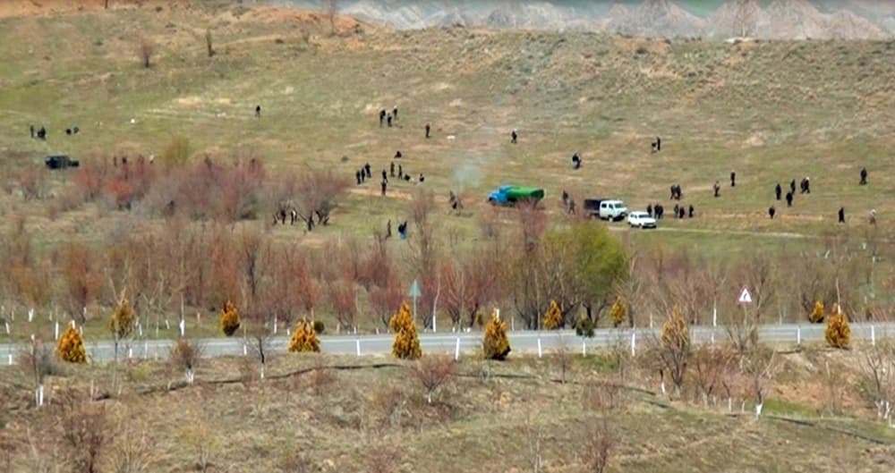 Şahbuz rayonunda yeni üzüm bağı salınıb