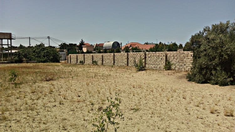 Bakının torpaq bazarında ucuzlaşma
