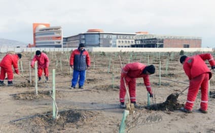 Mövsümi işlərdə çalışan fiziki şəxslərə gündəlik ödənişin nağd qaydada edilməsi təklif olunur
