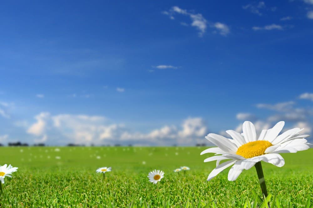 Havanın temperaturu 28 dərəcəyə yüksələcək