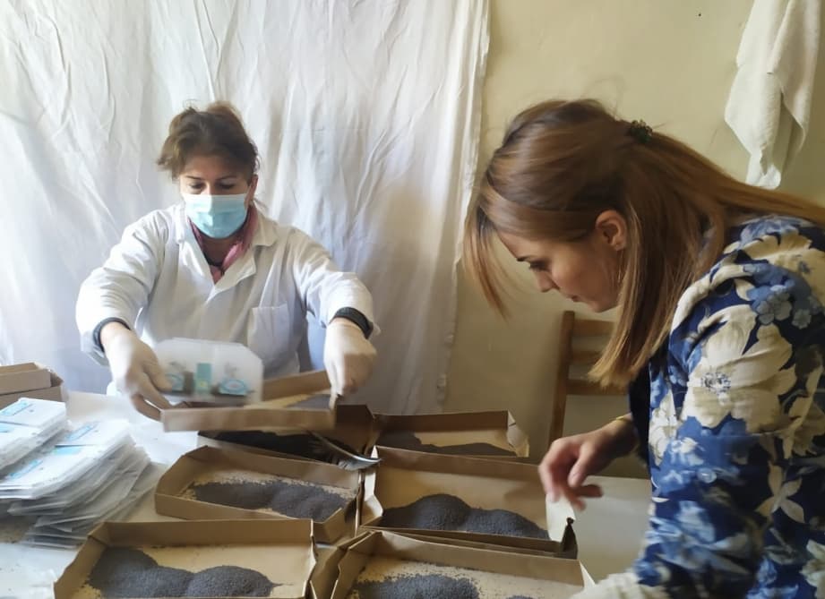 Çindən gətirilən ipəkqurdu toxumlarının 1300 qutusu Balakəndə inkubasiyaya qoyulub