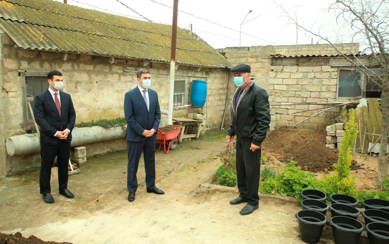 KOBİA-nın dəstəyi ilə yeni layihə - “Çiçəklənən Abşeron”