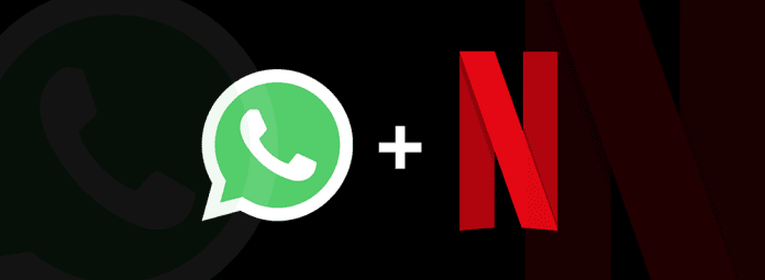 Netflix filmlərini artıq WhatsApp-dan da izləyə biləcəksiniz