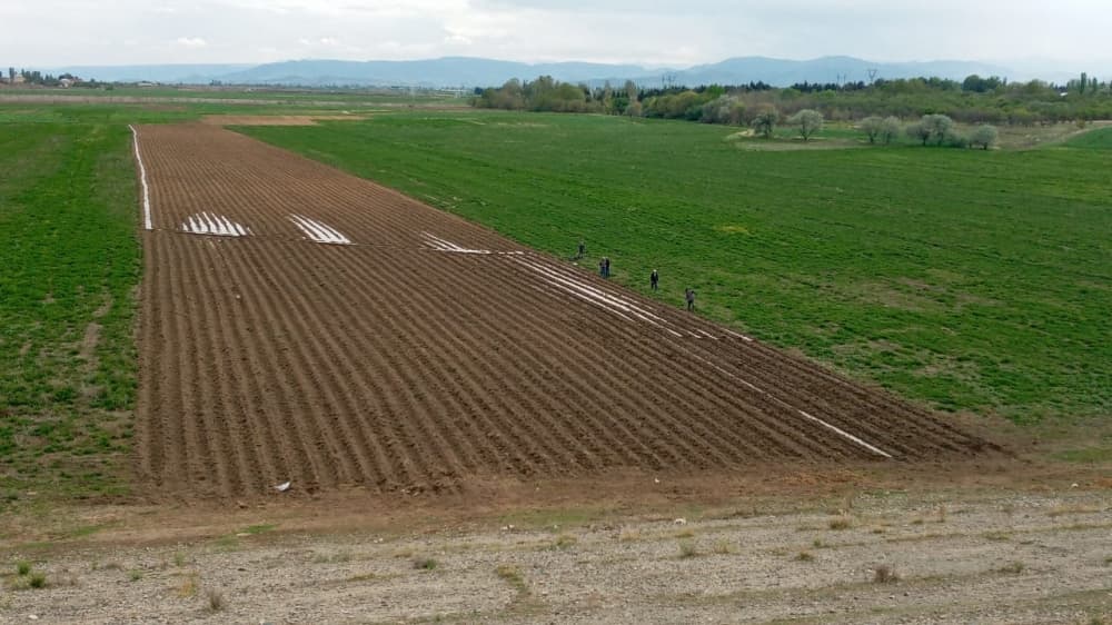 Tovuzda 60 hektar sahədə tütün plantasiyasının salınması nəzərdə tutulub