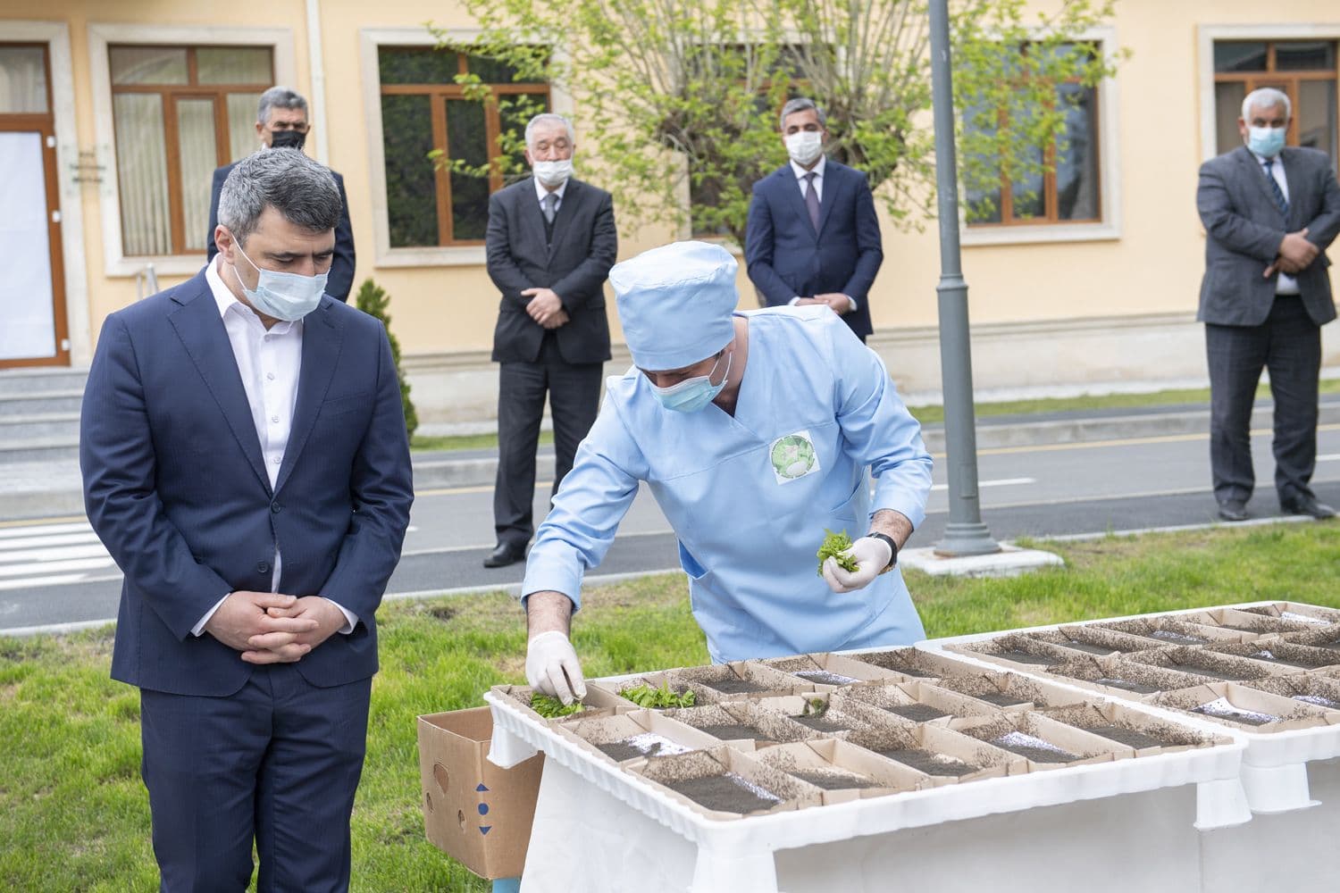 20 min qutu hibrid ipəkqurdu sənaye toxumlarının kümçülərə paylanmasına başlanılıb - FOTO