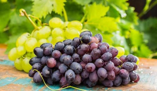 Fermerlərin tonlarla üzümü anbarlarda qaldı