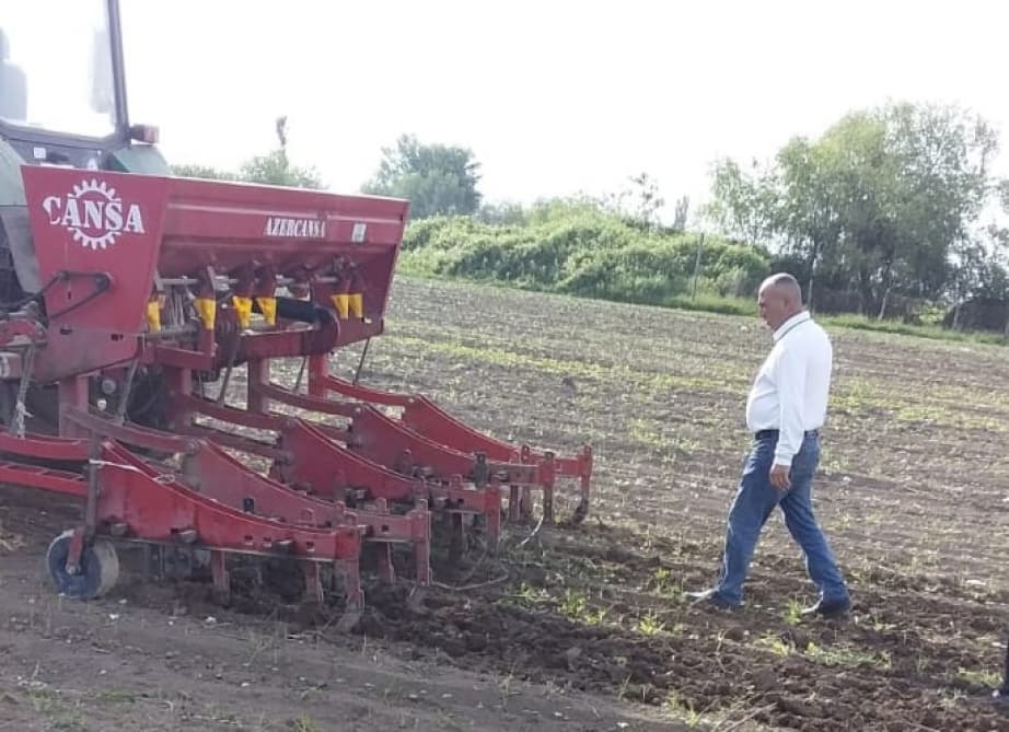 Ağcabədidə çiyid səpini davam edir - bu günədək 10 min hektardan çox sahədə səpin aparılıb