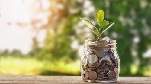 Azərbaycanda kənd təsərrüfatının kreditləşməsi 11% artıb