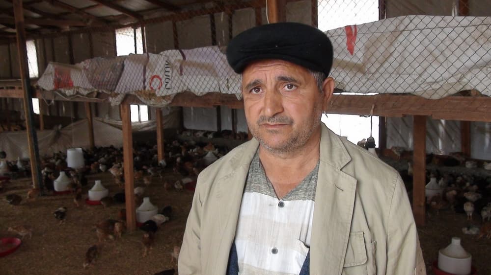 İlk satışdan yüksək gəlir əldə edən fermer