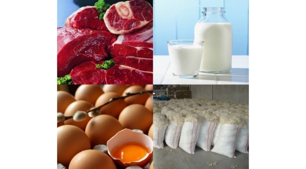 Heyvandarlıq məhsullarının istehsalı artıb