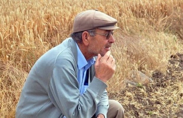 Fermerlərin NƏZƏRİNƏ
