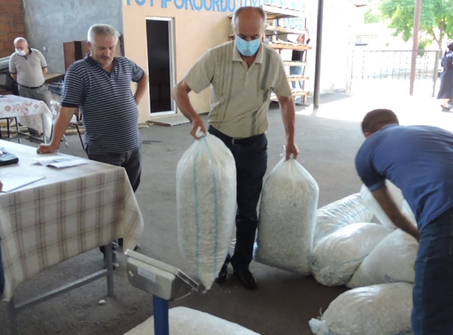 Zaqatalalı kümçü: Baramaçılıq çox sərfəli təsərrüfat sahəsidir