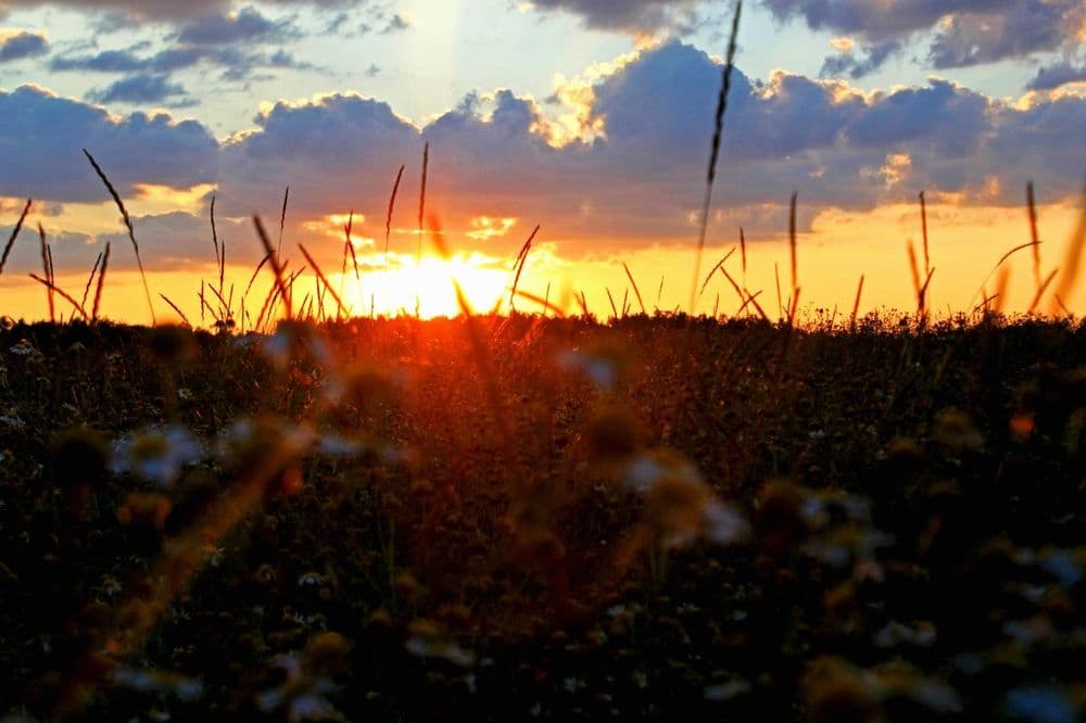 Sabaha olan HAVA PROQNOZU
