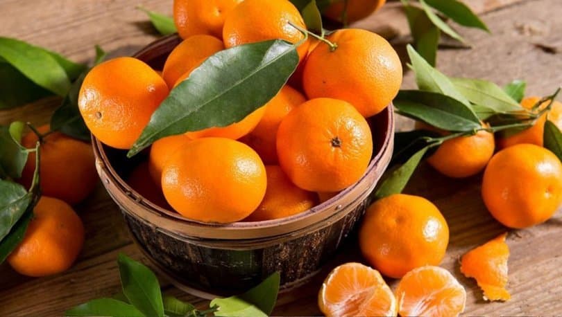 Türkiyədən Rusiyaya portağal ixracı dəyər baxımından 50 % artıb