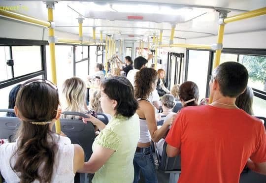 Ekspert: Daşıyıcı şirkətlərə dövlət dəstəyinin göstərilməsi arzuolunandır