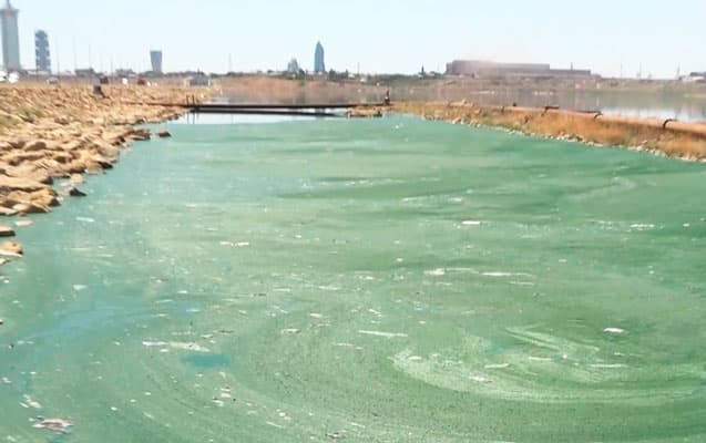 “Böyükşordakı vəziyyət xəstəliklərin artmasına səbəb ola bilər”