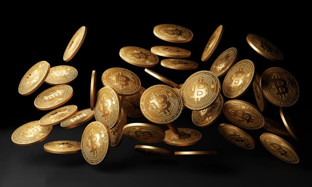 "Bitcoin hazırkı pandemiya dövründə əla bir investisiya aktividir"
