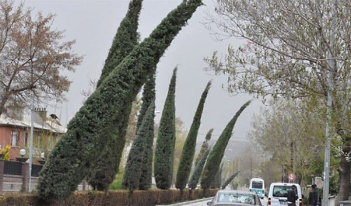 Temperatur 5-7 dərəcə enəcək, külək güclənəcək