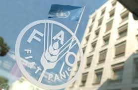 FAO Azərbaycanın şimal-qərbində kiçik aqrobiznesə dəstək layihəsinə başlayır