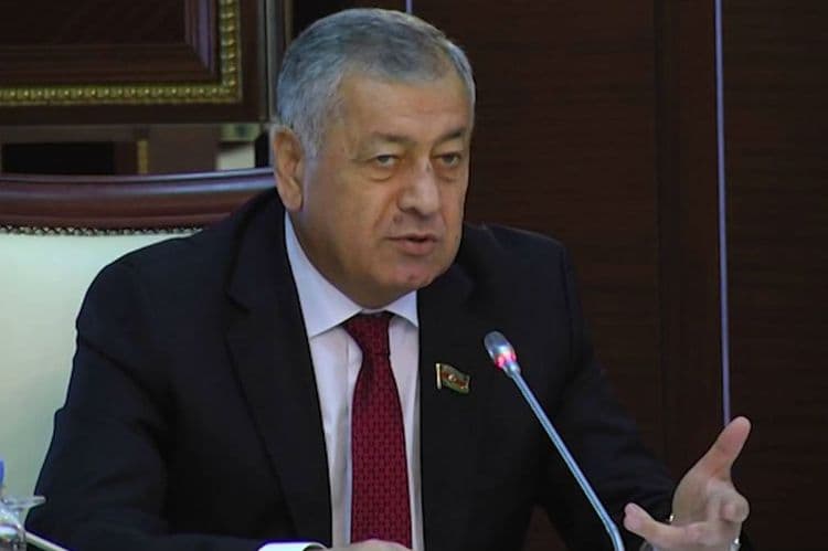 "Manatın taleyinə də aydınlıq gətirilməlidir" - Vahid Əhmədov