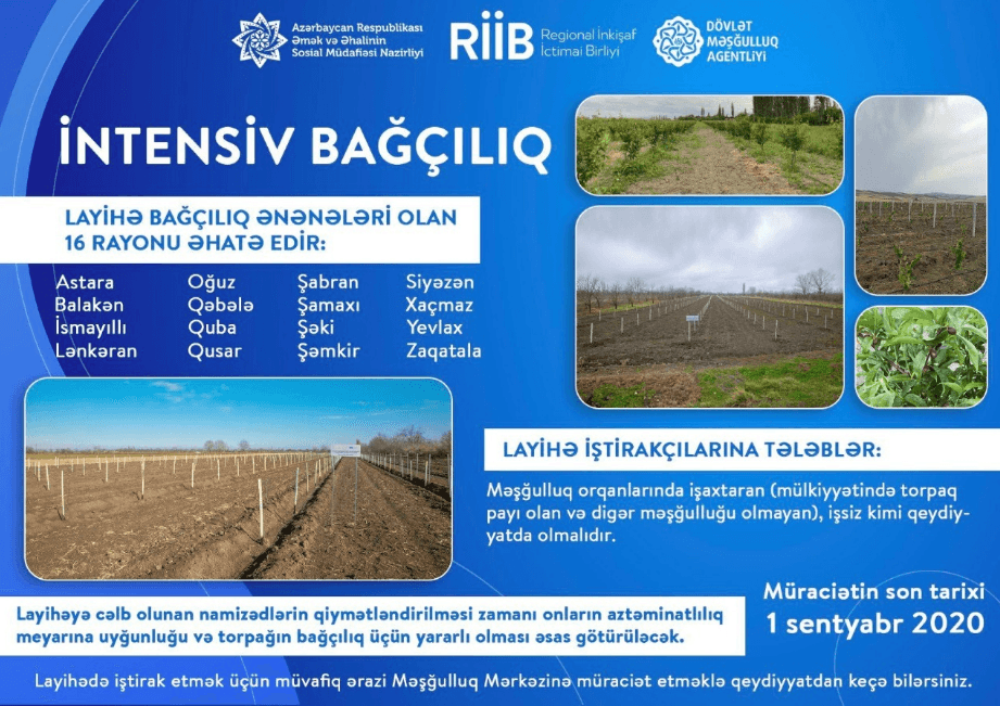 “Sosial Bağlar” layihəsinə cəlb olunmaq üçün  müraciətlərin qəbulu davam edir