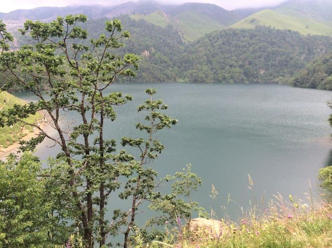 Sabahdan milli parklar açılır