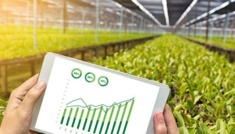 Azərbaycanın aqrar sektorunun gəlirləri son 7 ildə iki dəfədən çox artıb