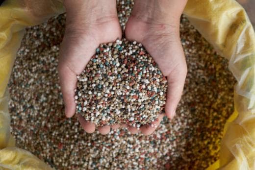 Azərbaycan xaricdən 56 milyon dollar dəyərində mineral gübrə alıb
