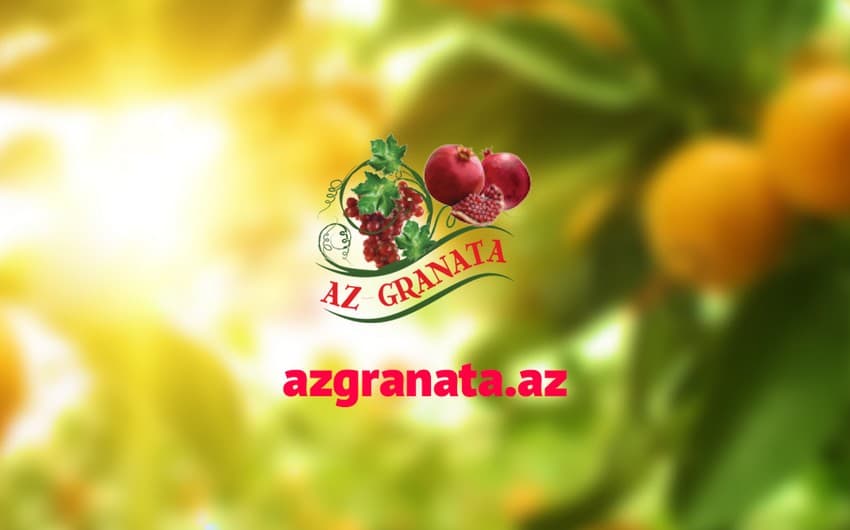 “AZGRANATA” Silahlı Qüvvələrə Yardım Fonduna 100 min manat köçürdü