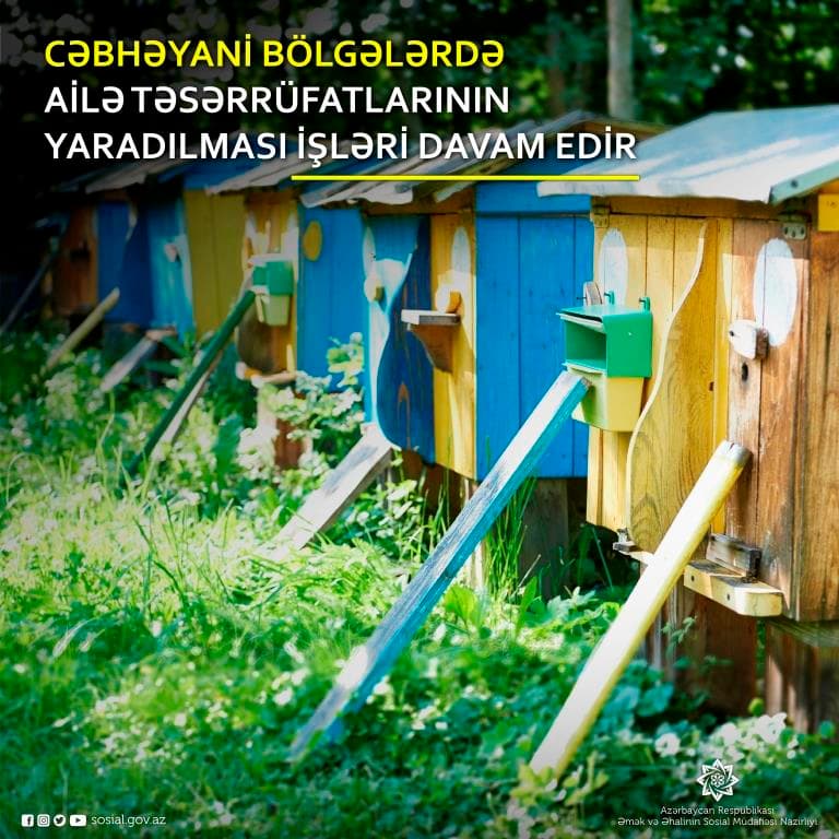 Cəbhəyanı bölgələrdə özünüməşğulluq proqramı üzrə 650 yeni ailə təsərrüfatı yaradıldı