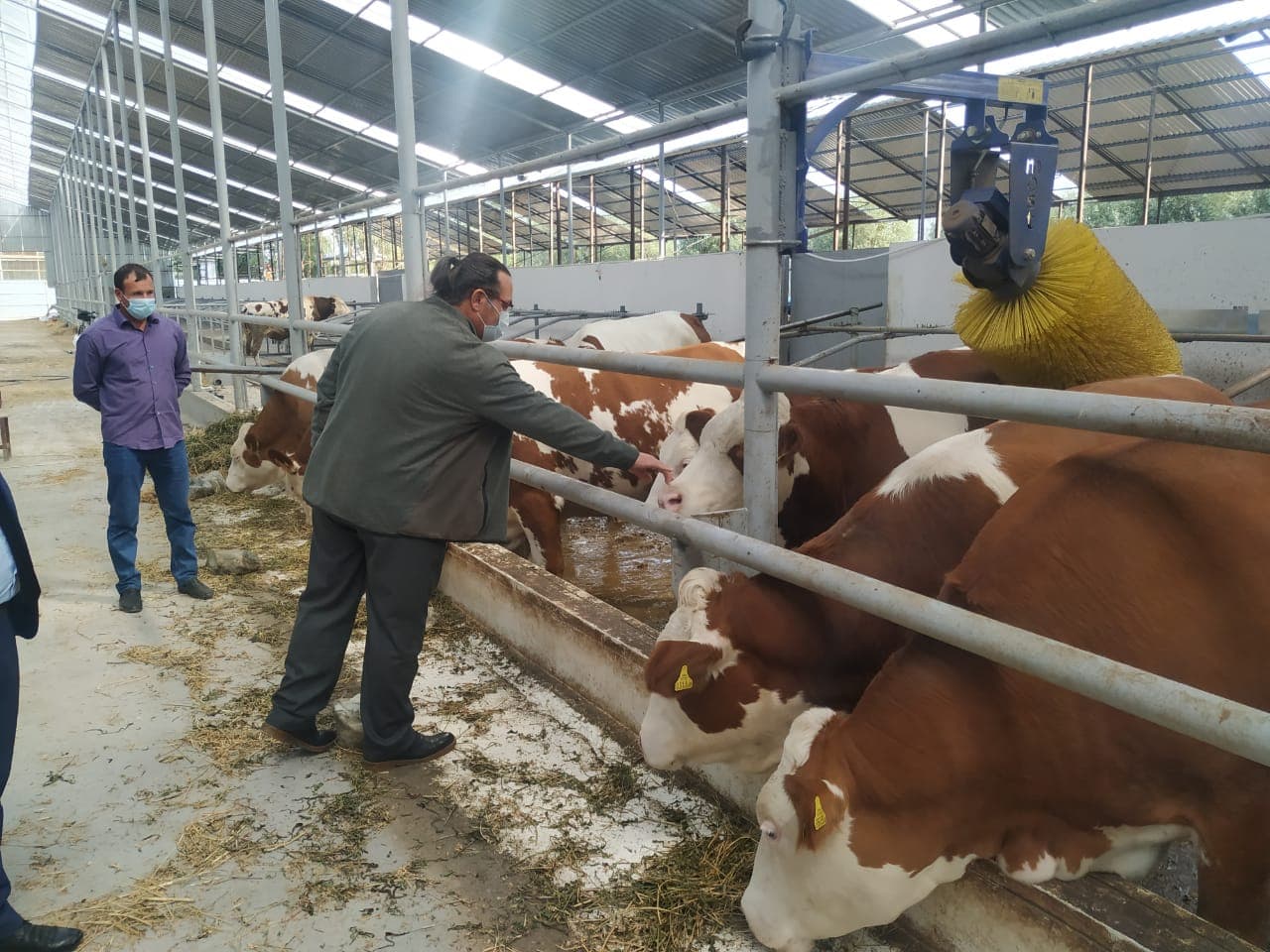 Aqrar sığorta ilə bağlı Salyan və Neftçalada fermerlərlə görüşlər keçirilib