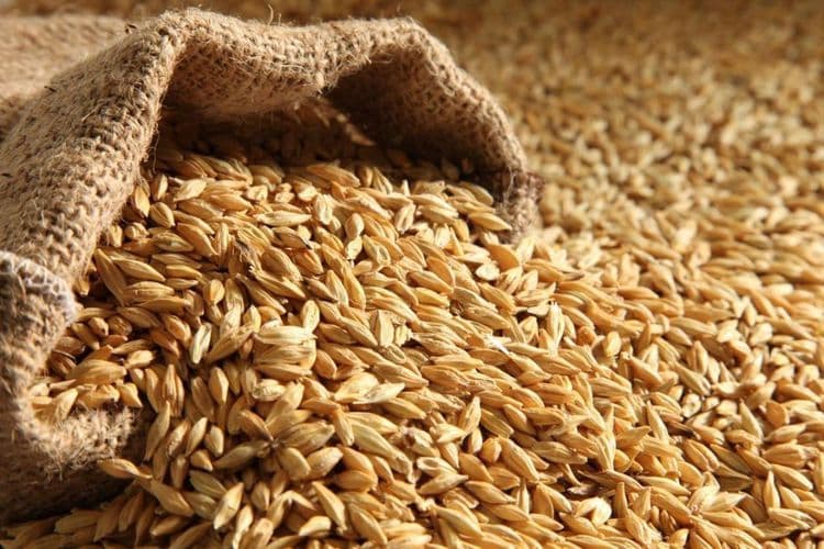 Azərbaycan sentyabrda buğda idxalını 11% artırıb