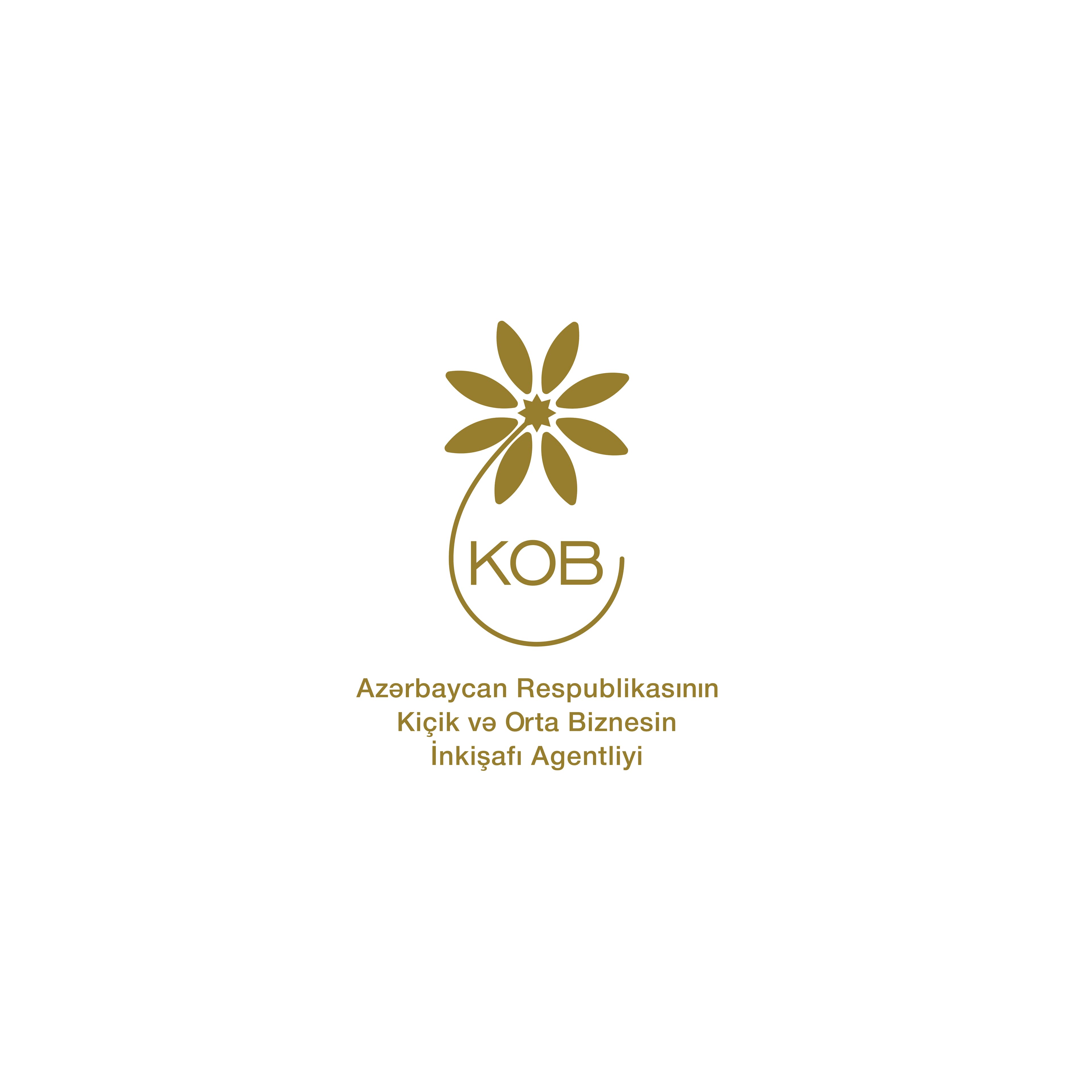 KOB-ların maliyyə resurslarına çıxış imkanlarına dair bankların iştirakı ilə vebinar keçirilib