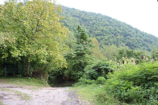 Milli Məclis Vəng kəndinin Çinarlı kəndi adlandırılmasını təsdiqlədi