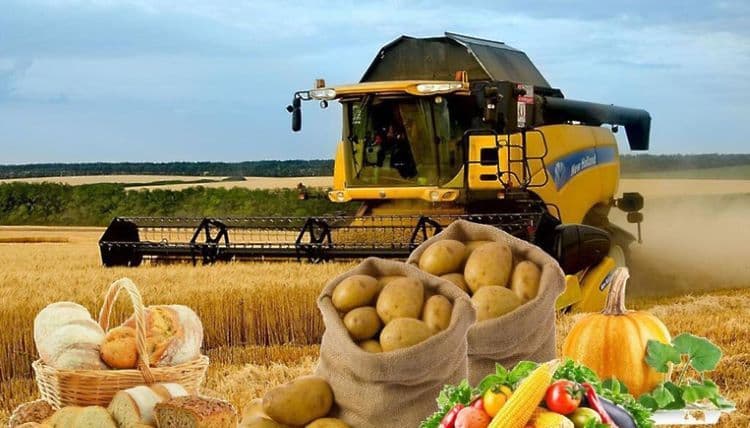 Naxçıvanda kənd təsərrüfatı məhsullarının istehsalı yanvar-sentyabrda 3,6% artıb