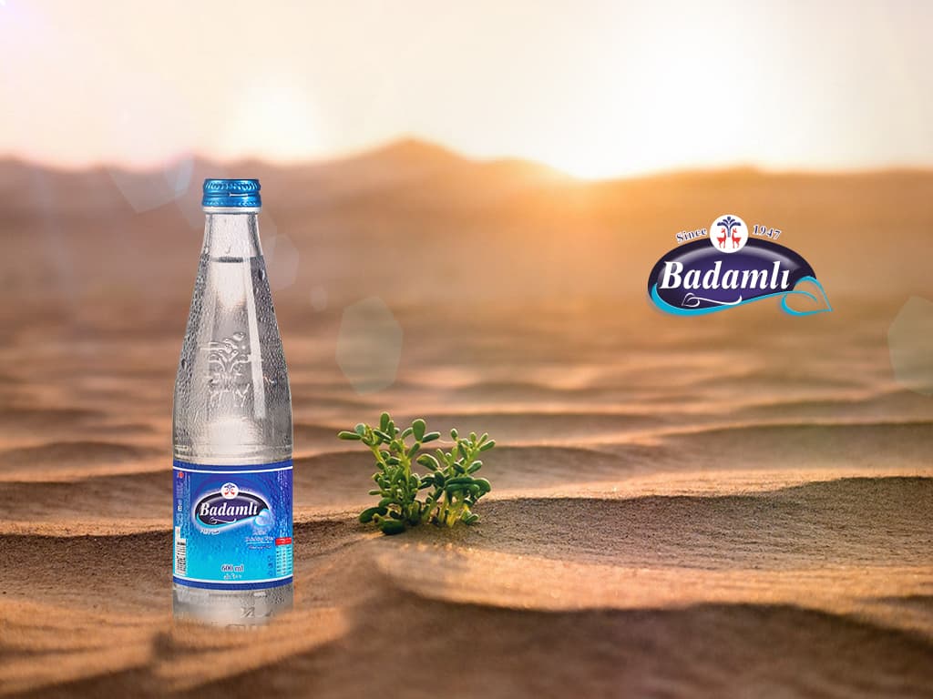 Badamlı Mineral Sular Zavodunun ətrafında toxumla bərpa işləri aparılıb