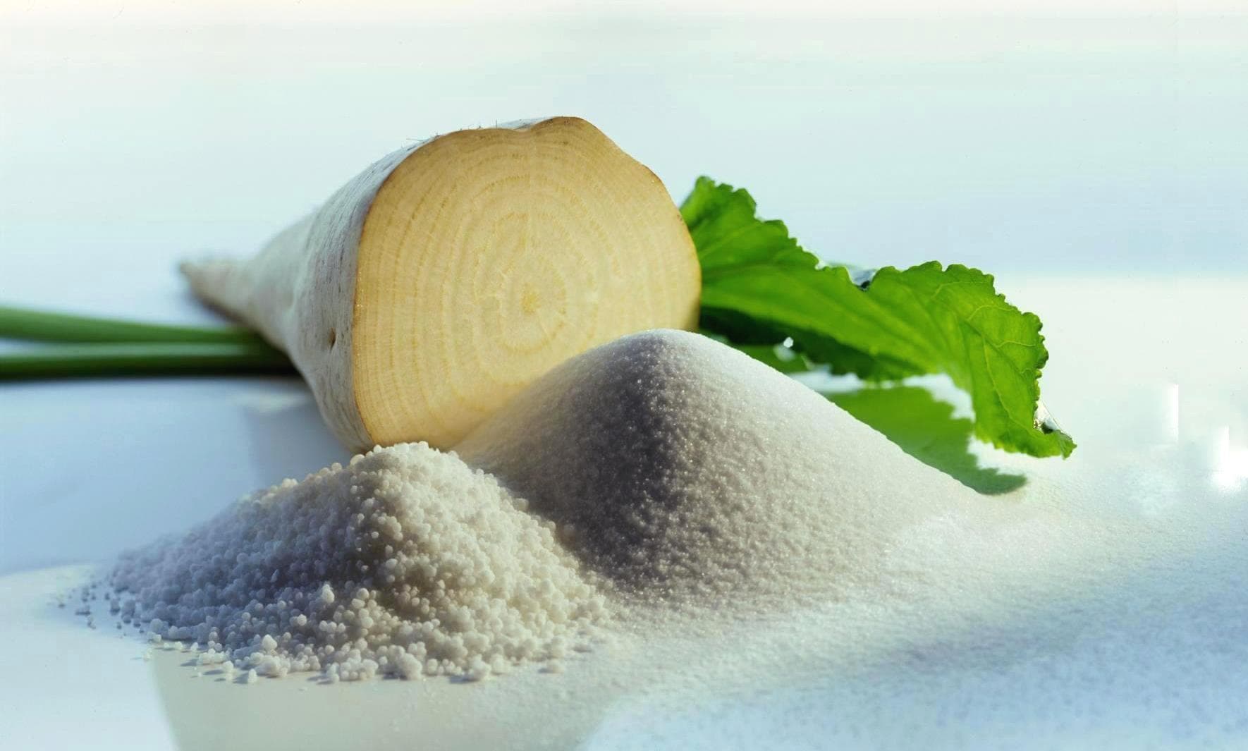 Bu rayonda şəkər çuğunduru yığımı davam edir