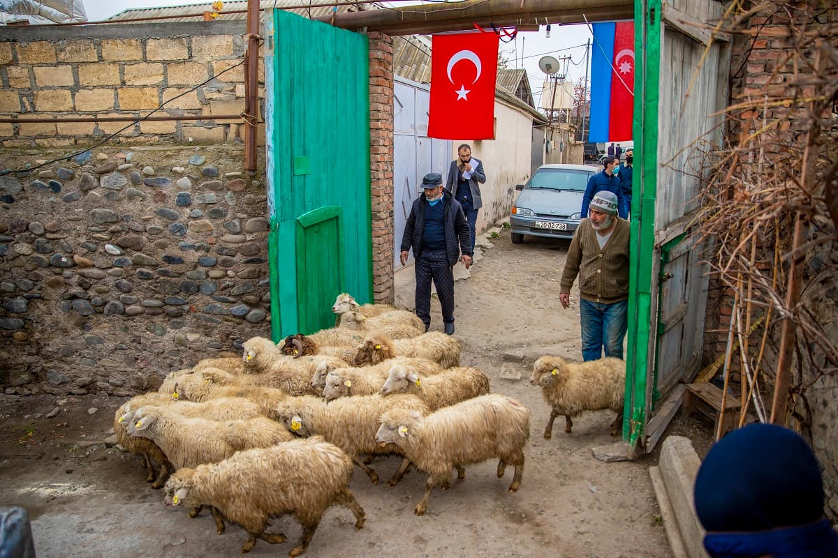 700-dən çox münaqişədən zərər çəkən özünüməşğulluq proqramına cəlb edilib