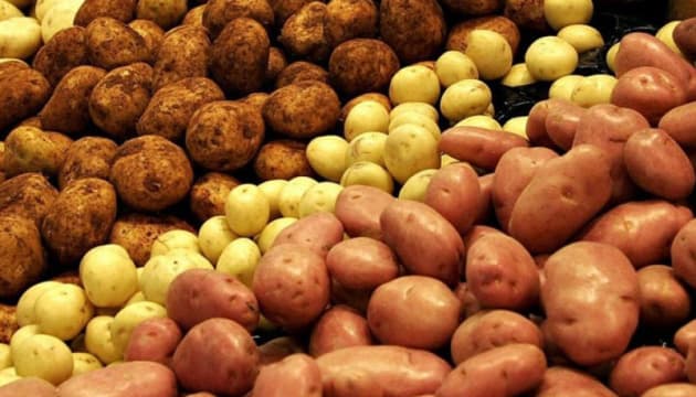 İl ərzində tarlalardan 1 milyon tondan çox kartof yığılıb