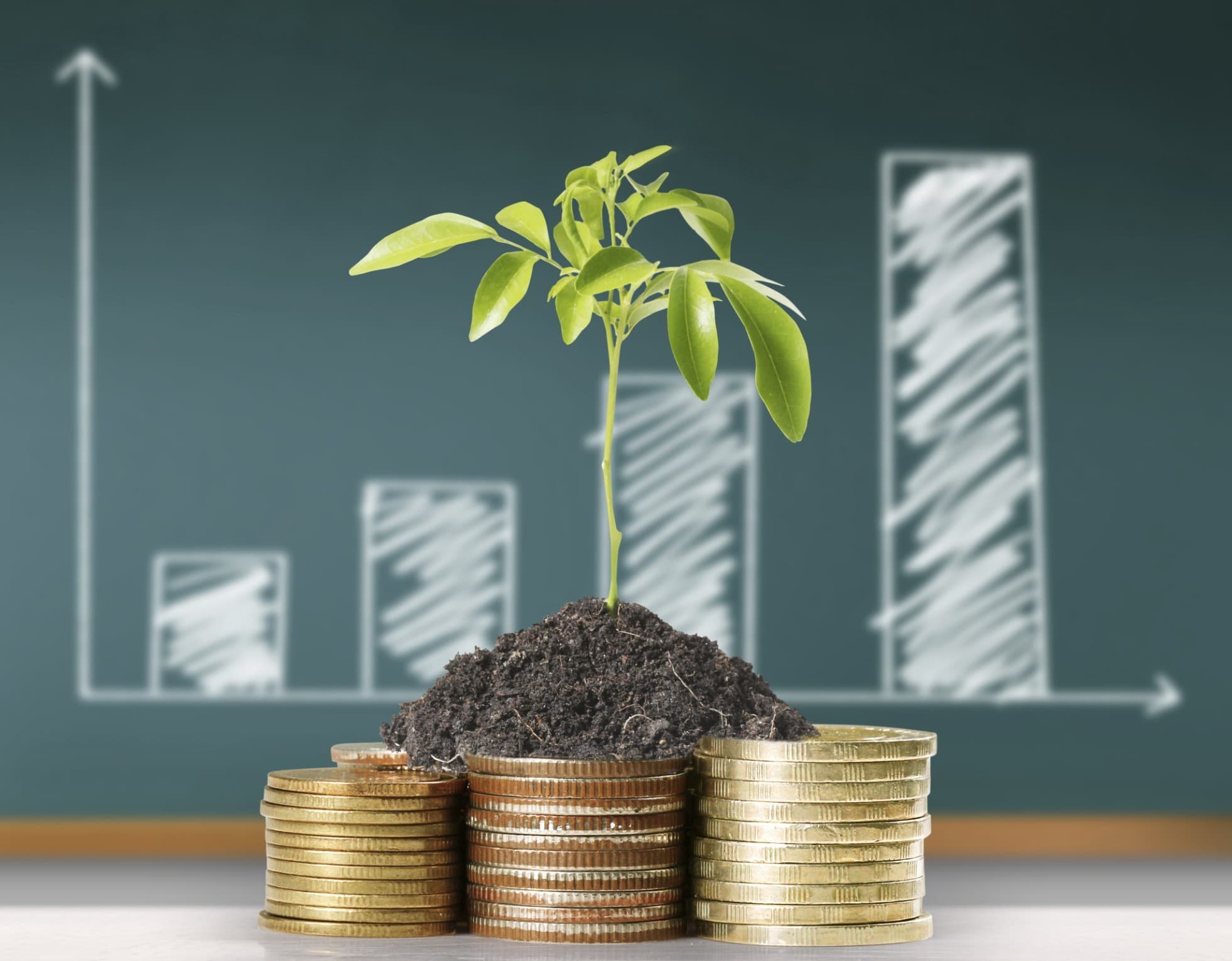 Mərkəzi Bank: Son aylar depozit faizlərində azalma meyili müşahidə olunur